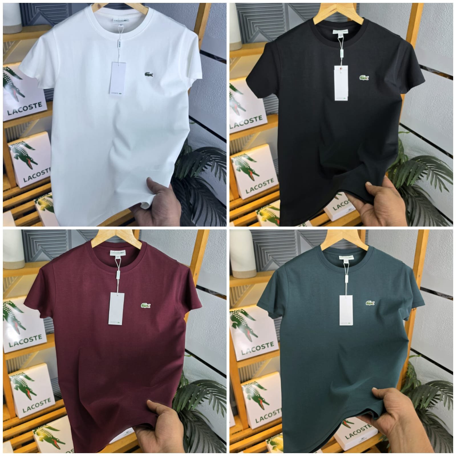 buy lacoste first copy t shirt for men buy lacoste first copy t shirt for men
